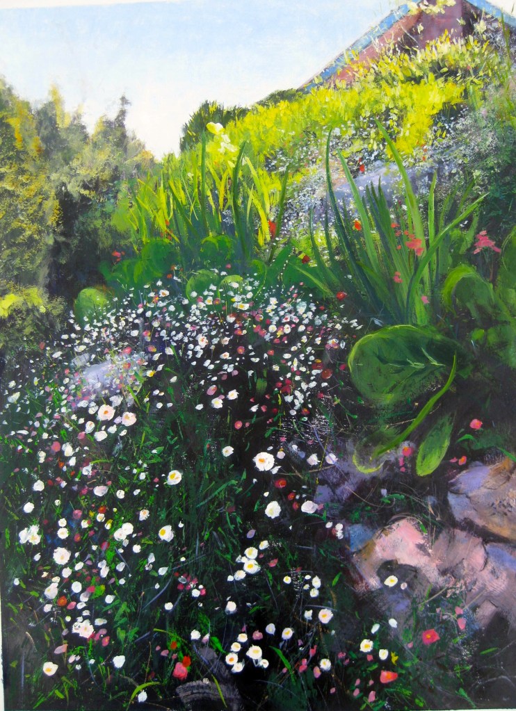 bergenia, gardens, reflections, shadows, autumn colours, leaves, flowers, landscape, Australian