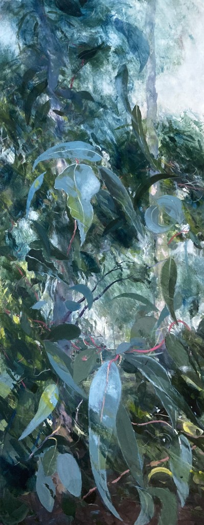 gardens, reflections, shadows, autumn colours, leaves, flowers, landscape, Australian, native flora, bush, eucalypts, gum trees