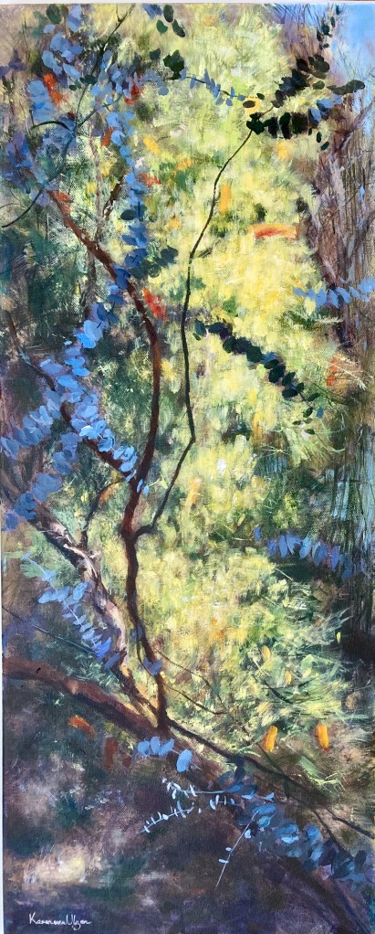 gardens, reflections, shadows, autumn colours, eucalyptus cinerea, blue dollar gum, leaves, flowers, landscape, native flora, banksia, cinerea, Australian